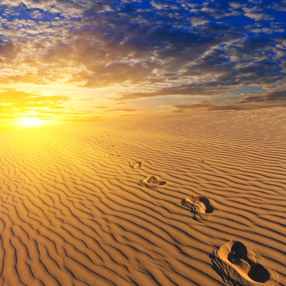 footprints-of-jesus-benjamin-israel-robinson
